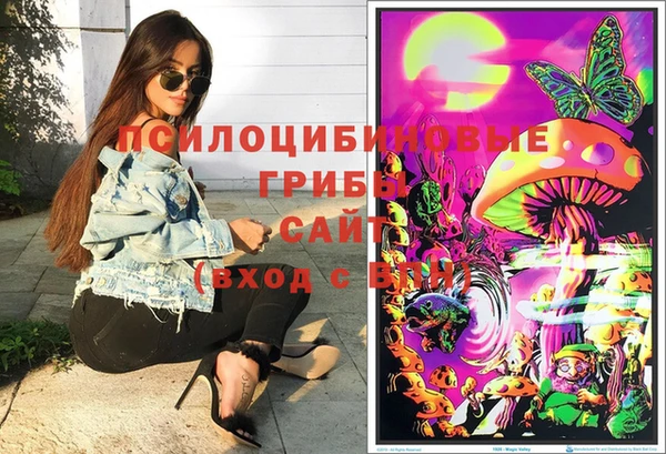 мяу мяу мука Алзамай