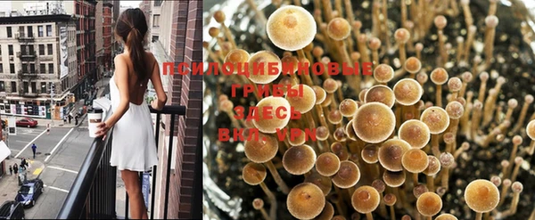 гашиш Алексин