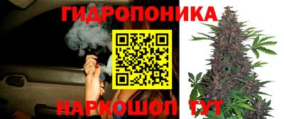 а пвп мука Канаш