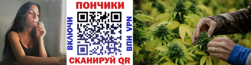 наркошоп  Кыштым  Бошки Шишки VHQ 